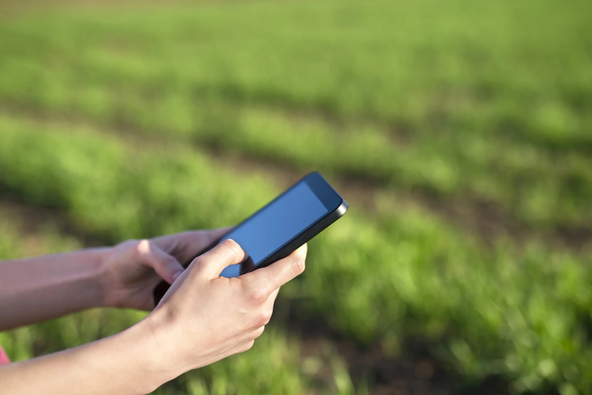 Complete Guide: Implementing IoT in the Agricultural Sector